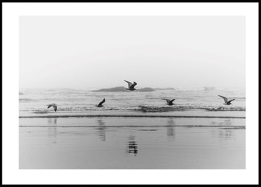 Vogels vliegen over de kust poster 