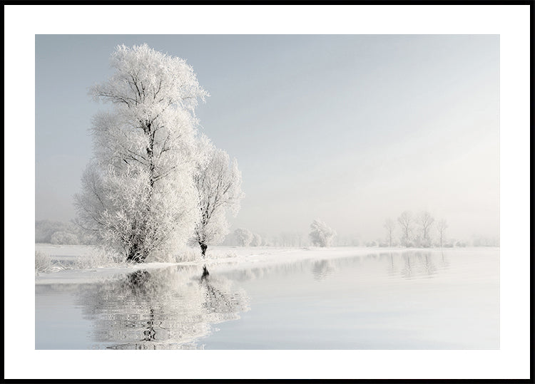 Poster van de ijzige winterboom nr. 2