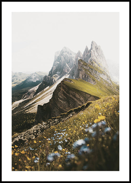 Poster met alpenbloesems en bergtoppen 