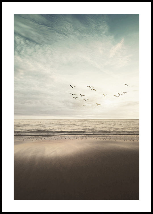 Vogels vliegen op de kust poster 