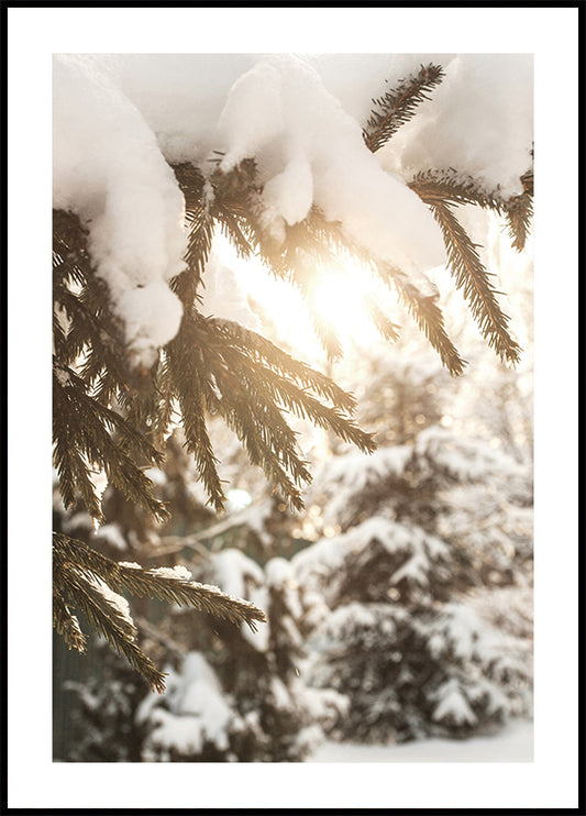 Winterzonneschijnposter