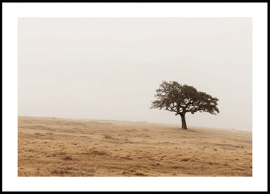 Herfstgrasveld en eenzame boomposter