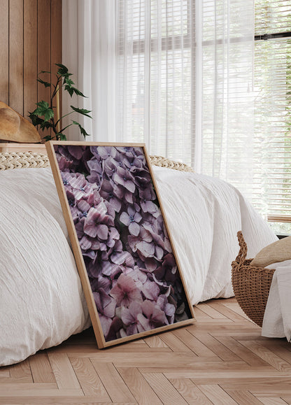 Roze Hortensia Poster 