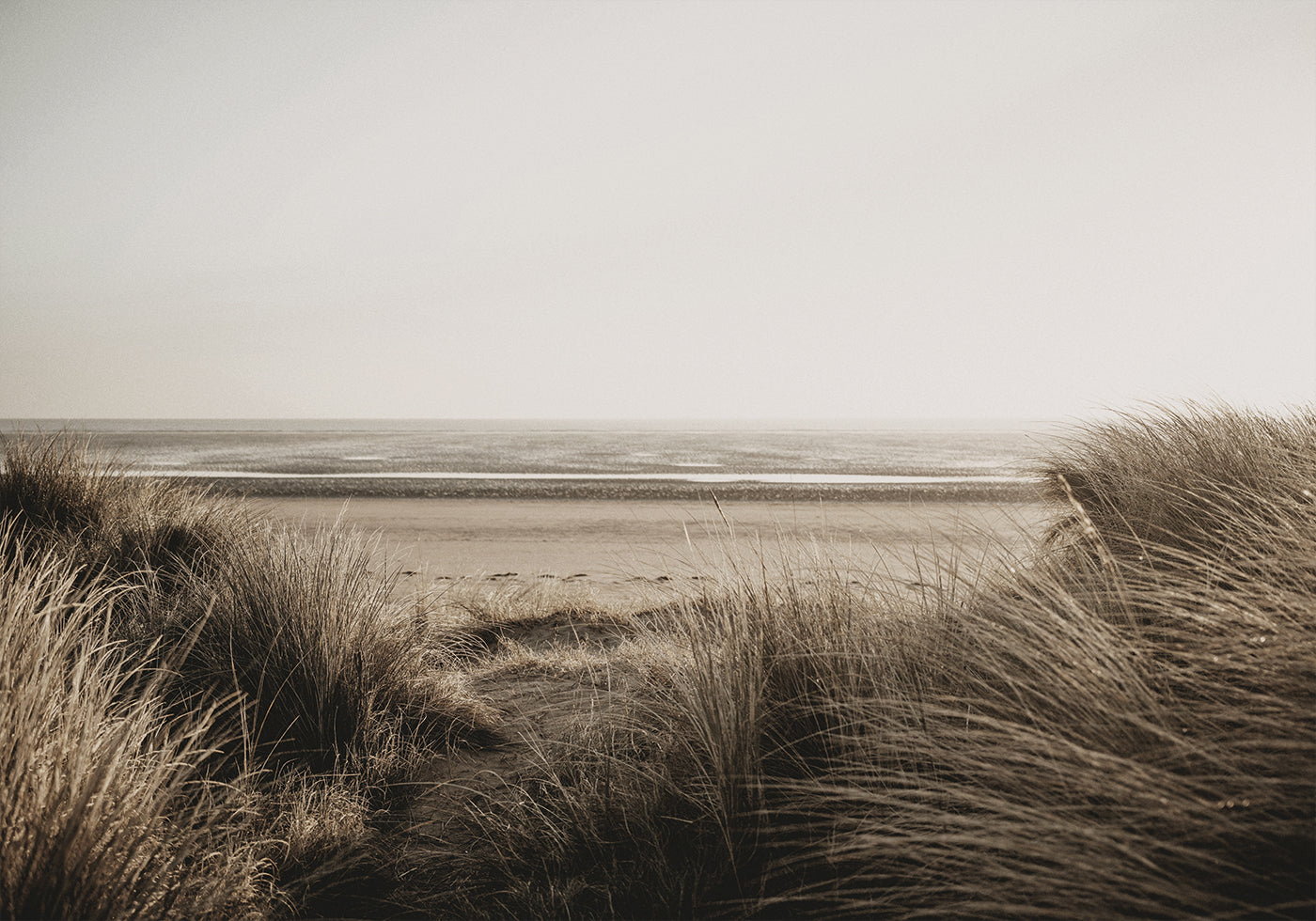 Uitzicht op het strand van achter het gras Poster 