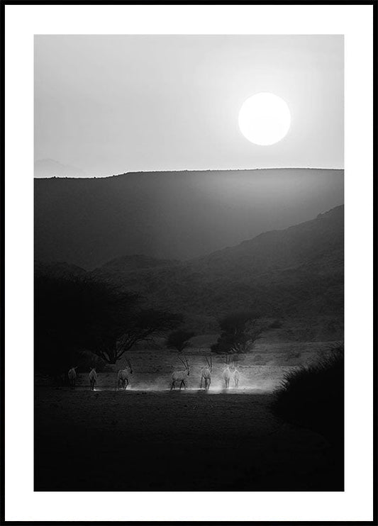 Arabische Oryx-poster 